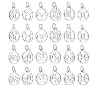 PH PandaHall 24pcs Breloque 12 Constellations en Acier Inoxydable Pendentifs Signe du Zodiaque Pendentifs Plats Ronds avec Constellation Breloque Astrologie Horoscope pour la Fabrication de Bijoux