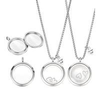 PH PandaHall 2pcs Collier Souvenir Poils de Chat 304 Acier INOX Pendentifs Médaillon Mémoire Poils Chat 29.5mm Verre Transparent Bijoux Crémation pour Cendres Animal Poil Jour Mémoire Perte Animal