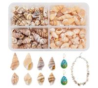 PH PandaHall 330pcs Coquillages en Spirale Naturels 4 Modèles Coquillages Conque Océan Plage avec Trou et Sans Trou pour Bracelet Bijoux, Artisanat, Décoration de la Maison, Aquarium, 70g