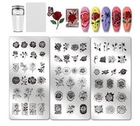 PH PandaHall 3pcs Plaque de Tampon à Ongles de Fleur Rose Modèle D'Art D'Impression Fissure de Rose Plaque D'Image D'Ongle en Acier Inoxydable avec Tampon et Grattoir pour Impression de Femmes 12x6cm