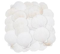 PH PandaHall 60pcs Coquillages Saint Jacques Naturels 7.2~8.1cm Blancs Grands Coquillages Peinture des Coquilles Coquilles Décoratives pour la Décoration de Plage L'Océan Mariage Fête