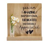 PH PandaHall Cadeau Inspirant Vous Êtes Incroyable Panneau de Bureau Cadeaux d'appréciation Plaque d'inspiration en Bois Signe Motivant avec Bocal en Verre pour Femmes Hommes Enseignant