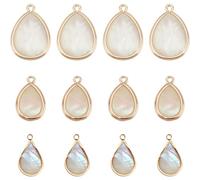 PH PandaHall Lot de 12 pendentifs en coquillage 3 couleurs en forme de goutte - Accessoires de bijoux faits à la main - Accessoires pour fabrication de bijoux, Coque, Pas de gemme