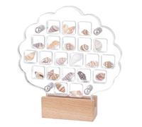 PH PandaHall Présentoir à Coquillages 21 grille en Acrylique avec Base en Bois de Hêtre Massif Boîte Transparente pour Petits Objets Artisanaux Perle Bijoux en Pierres