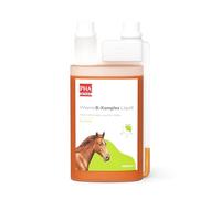 PHA Cheval, complément Alimentaire pour Soutenir Le système nerveux et Fonction Métabolisme, Liquide, Vitamine du Complexe B Liquid, 1000 ML