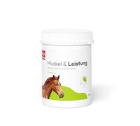 PHA Muscle & Performance pour Chevaux - Minéraux et vitamines pour Le développement Musculaire et la Performance - avec Vitamine E, magnésium et sélénium - Poudre de 850 g