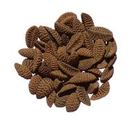 Phacelie - 40 grammes - Phacelia Tanacetifolia (Engrais Vert) SEM05