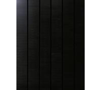 Phaesun Sun Pearl 150 Module solaire monocristallin 150 Wp 12 V