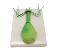 Phage Virus Model - Aide pédagogique anatomique pour l'éducation biologique, modèle bactérien pour les cours de sciences et de biologie du collège