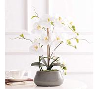 Phalaenopsis - Arrangement floral d'orchidées artificielles en soie pour intérieur et extérieur, mariage, maison, bureau, ameublement festif, blanc/rose/violet pour maison, table, bureau