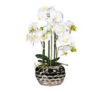 Phalaenopsis artificiel 55 cm dans une coupe en céramique argentée - Différentes couleurs au choix