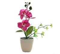 Phalaenopsis Bonsaï artificiel en pot, arrangement de fleurs d'orchidée artificielles en pot, décoration réaliste en soie pour la maison, le bureau, une fête de mariage, un centre de table (rouge