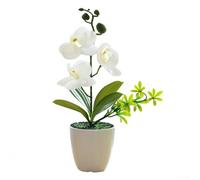 Phalaenopsis Bonsaï artificiel en pot, arrangement de fleurs d'orchidée artificielles en pot, décoration réaliste en soie pour la maison, le bureau, une fête de mariage, un centre de table (blanc)