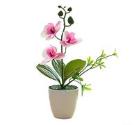 Phalaenopsis Bonsaï artificiel en pot, arrangement de fleurs d'orchidée artificielles en pot, décoration réaliste en soie pour la maison, le bureau, une fête de mariage, un centre de table (violet)