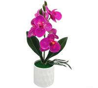 Phalaenopsis Bonsaï artificiel pour accents d'intérieur dans des pièces aux tons neutres avec accent sur la forme organique et le contraste subtil (violet)