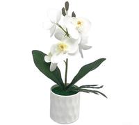 Phalaenopsis Bonsaï artificiel pour décoration d'intérieur dans des pièces aux tons neutres avec accent sur la forme organique et le contraste subtil (blanc)