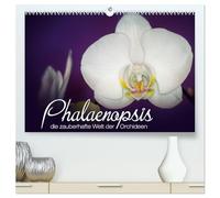 Phalaenopsis - die zauberhafte Welt der Orchideen (hochwertiger Premium Wandkalender 2026 DIN A2 quer), Kunstdruck in Hochglanz: Eine kleine zauberhafte Auswahl meiner Orchideen-Familie.