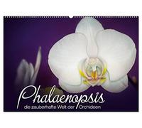 Phalaenopsis - die zauberhafte Welt der Orchideen (Wandkalender 2026 DIN A2 quer), CALVENDO Monatskalender: Eine kleine zauberhafte Auswahl meiner Orchideen-Familie.