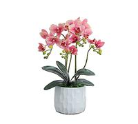 Phalaenopsis - Ensemble de fleurs d'orchidée artificielles dans un vase, centre de table de salle à manger, décoration de salon, belles fleurs artificielles et vases (A)