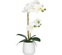 Phalaenopsis fleur d'orchidée artificielle 50 cm blanc dans pot en céramique blanc 9x11 cm Real Touch