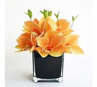 Phalaenopsis Orchid Floral Arrangement in Vase, Silk Fake Orchids Flowers Artificial for Intérieur Outdoor Wedding Office Office Office Festive Festive Table Centorpiece Bureau Bureau de mariage
