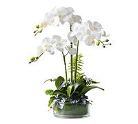 PHALAENOPSIS ORCHID FLORAL DORAL EN VASE, SILK FALUES ORCHIDES Fleurs artificielles pour le bureau intérieur du bureau de mariage en plein air décoration festive meuble blanc / violet (couleur: