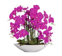 Phalaenopsis orchidée fleur artificielle 70 cm lilas dans coupe céramique blanche, Real Touch