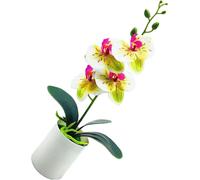 Phalaenopsis Ornaments Multipurpose Simulation Innovative Vivid Fun Hand Crafted Orchid Bonsai Ornaments for Living Room Study Office Green White