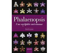 Phalaenopsis - Une orchidée méconnue