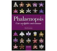 Phalaenopsis - Une Orchidée Méconnue