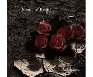 Phantasmagoria - Seeds of Brain [ Edition] [Import]