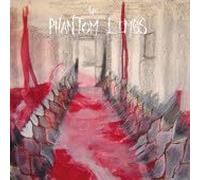 Phantom Limbs - Random Hymns [Import]