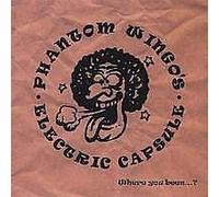 Phantom Wingo's Electric Capsule - Where You Been?