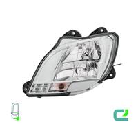 Projecteur principal HELLA 1ED 010 116-531