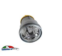 Prasco Antibrouillard CI3204413 - Peugeot Expert (2003-06), Citroen Xsara (2000-04), C3 (2005-09)