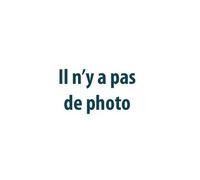 Phare Gauche Avec Clignotant 01/04(Bord Gris) Pour Renault Clio