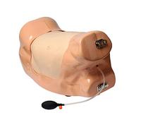 Pharmabotics W19356 simulateur de thoraxdrainage