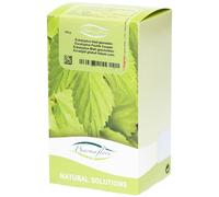 Pharmaflore Eucalyptus Feuille Coupée Thé 100 g