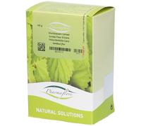 Pharmaflore Fleur de Sureau Thé 100 g