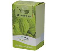 Pharmaflore Pissenlit Feuille Coupée Thé 100 g