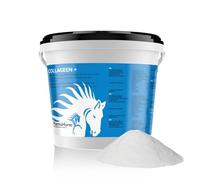 PharmaHorse Collagène+ | Souplesse des articulations Cheval | Collagène Cheval | sans Sucre ajouté | Sulfate de glucosamine 100% Pur | sans dopage | Dosage Puissant | 500 grammes