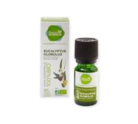 Pharmascience Huile essentielle d’Eucalyptus Globulus 10ml 100% Bio