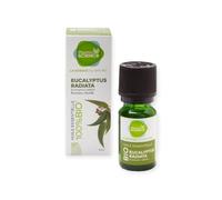 Pharmascience Huile essentielle d’Eucalyptus Radiata 10ml 100% Bio