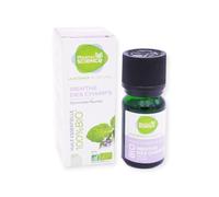 Pharmascience Huile essentielle Menthe des Champs Bio 10ml