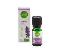 Pharmascience Huile essentiellede de Lavandin Grosso 10ml 100% Bio