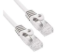 phasak chat utp 6 reseau cable 25 cm