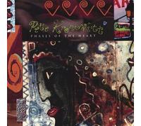 Phases of The Heart