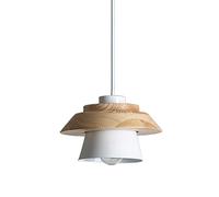 PHASZ Suspension Blanche Couleur Lumière Industrielle Mid-Century Edison Suspension Lampe À Tête Unique Luminaires Suspendus Lustre En Métal Pour Ferme Cuisine Îlot Salle À Manger Couloir