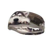 PHAYAH Bandeau de sport à motif chien Husky adapté pour la course à pied, le yoga, le basket-ball élastique