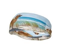 PHAYAH Bandeau de sport avec motif Golden Retriever adapté pour la course à pied, le yoga, le basket-ball élastique